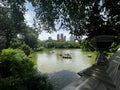 Scenery of Central Park in New York in June, USA