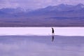 Scenery of Chaka Salt Lake Royalty Free Stock Photo