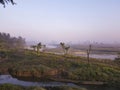 Scenery at Chitwan NP