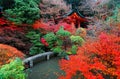 Scenery of colorful maple foliage in the garden of Bishamon Hall Bishamondo