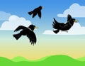 scenery crows flying on sky - 1 Royalty Free Stock Photo