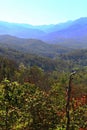 Scenery of the deciduous forest changing color