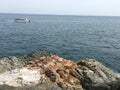 Scenery of Deep Blue Sea And Reef in Taejongdae Park