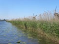 Scenery of a dirty river on mills row background Royalty Free Stock Photo