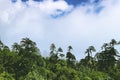 Scenery from the Druk Wangyal Khangzang Stupa with 108 chortens, Dochula Pass, Bhutan. Royalty Free Stock Photo