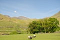 Scenery in Duddon Valley, Lake District