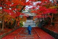 Scenery of fiery maple trees at the entrance Sandou to Bishamon Hall Bishamondo Royalty Free Stock Photo