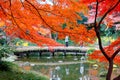 Scenery of fiery maple trees by a wooden bridge reflected in the peaceful water of a pond in Koishikawa Korakuen Royalty Free Stock Photo