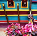Scenery of flowers on the background of the side of the ship with guns and a skeleton of a pirate