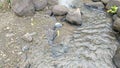 scenery of flowing water with natural textured background in rural Indonesia