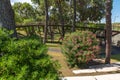 Scenery in the garden of Troia covered with green trees during a sunny day in Grandola, Portugal