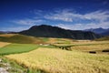 Scenery of grain field and mountain Royalty Free Stock Photo