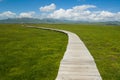 Scenery of grassland at Tibetan plateau Royalty Free Stock Photo