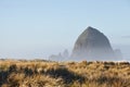 Scenery of the Haystack Rock in the morning fog at Cannon Beach, Oregon Royalty Free Stock Photo