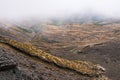 Scenery from the high vantage point at Mt Ruapehu, with colourful lichen on the rock in the foreground and thick fog