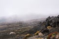 Scenery from the high vantage point at Mt Ruapehu, with colourful lichen on the rock in the foreground and thick fog