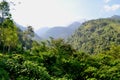 Scenery of a hill in the mountain