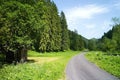 The scenery of the Ilanovo Valley in full beauty