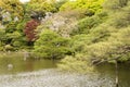 The scenery of Japanese garden with the pone. Royalty Free Stock Photo