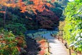 Scenery of a Japanese garden in Shoren-In, a famous Buddhist temple in Kyoto, Japan