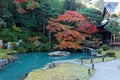 Scenery of a Japanese garden in Shoren-In, a famous Buddhist temple in Kyoto Japan