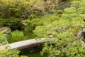 Scenery Japanese garden