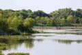 Scenery of John Heinz National Wildlife Refuge in summer near Philadelphia airport, Pennsylvania, USA