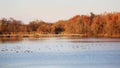 Scenery of John Heinz National Wildlife Refuge at Tinicum near Philadelphia airport Royalty Free Stock Photo