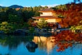 Scenery of Kinkaku-ji, a famous Zen Buddhist temple in Kyoto Japan, with view of Golden Pavilion glittering under blue clear sky Royalty Free Stock Photo