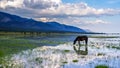 Scenery of the lake Baikal, Olkhon Island, Irkutsk, Siberian, Russia. beautiful views Royalty Free Stock Photo