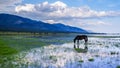 Scenery of the lake Baikal, Olkhon Island, Irkutsk, Siberian, Russia. beautiful views Royalty Free Stock Photo