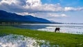 Scenery of the lake Baikal, Olkhon Island, Irkutsk, Siberian, Russia. beautiful views Royalty Free Stock Photo