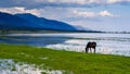 Scenery of the lake Baikal, Olkhon Island, Irkutsk, Siberian, Russia. beautiful views Royalty Free Stock Photo