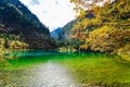 Scenery Of Lake in Forest with Colorful Leafs and Mountain in Autumn Royalty Free Stock Photo