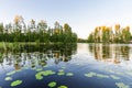 Scenery lake with water lilies at sunset