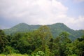 Scenery landscape beautiful of mountain and green forest.