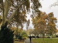 Scenery and landscape of Resselpark in Vienna, Austria. Royalty Free Stock Photo