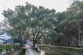 Scenery of Likeng Scenic Area, Wuyuan, Jiangxi province