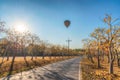 The scenery of the lonely hot air balloon flying over the road that on both side was full of the trees with yellow flowers in Royalty Free Stock Photo