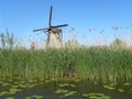 Scenery of a mill on a blue clear sky background Royalty Free Stock Photo