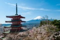 Chureito Pagoda and Mount Fuji, Japan Royalty Free Stock Photo