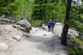 Scenery from my Hike to Alberta Falls