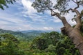 Scenery of National Kinabalu Park, Taman Negara Kinabalu Royalty Free Stock Photo