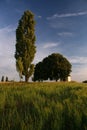 Scenery of Nature with old chapel