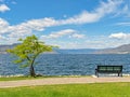 Scenery Okanagan lake overview with the bench and tree at the waterfront Royalty Free Stock Photo