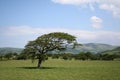 Scenery outside Tywyn