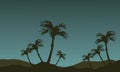 Scenery Of Palm Tree Silhouette