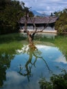 A scenery park in Lijiang China - a top tourist town #10