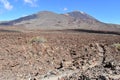 Scenery with Pico Viejo Volcano Mountain and famous volcano Pico del Teide in Tenerife, Europe Royalty Free Stock Photo