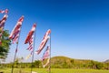 Scenery portrait of the flag flying of koi fish shaped for Japanese boyÃ¢â¬â¢s day in May